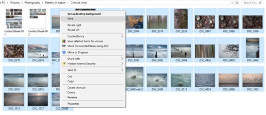 photo mechanic contact sheet vs. contact tab