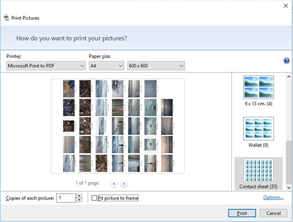 how-to-make-a-contact-sheet-photoshop-and-windows-2023