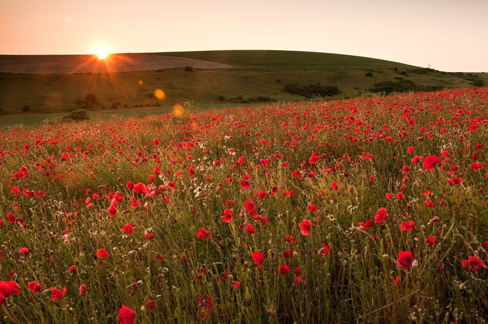 Tips for Taking Beautiful Summertime Landscape Photos