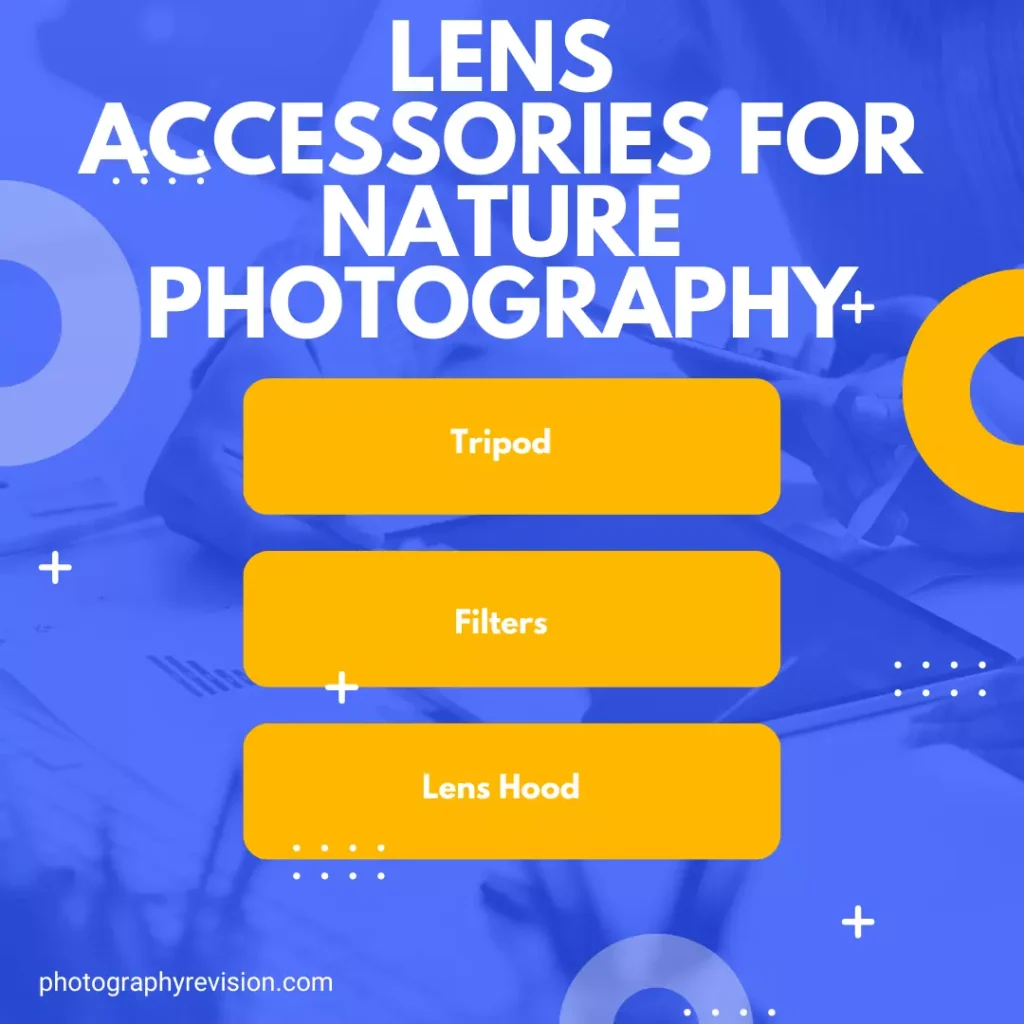 Best Lens for Nature Photography