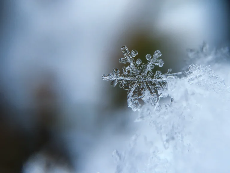 How to Photograph Snowflakes: Step By Step Guide